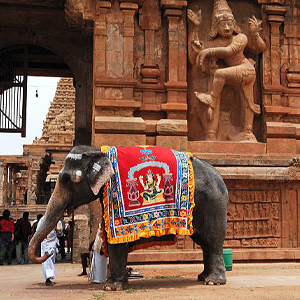 Best South India Temples Tour 2