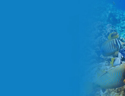 Breathtaking Andaman Tour Package Banner
