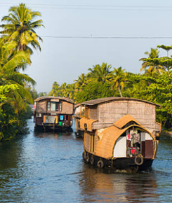 South India Backwaters Tour Package 3