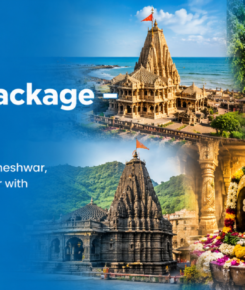 7 Jyotirlinga Tour Package